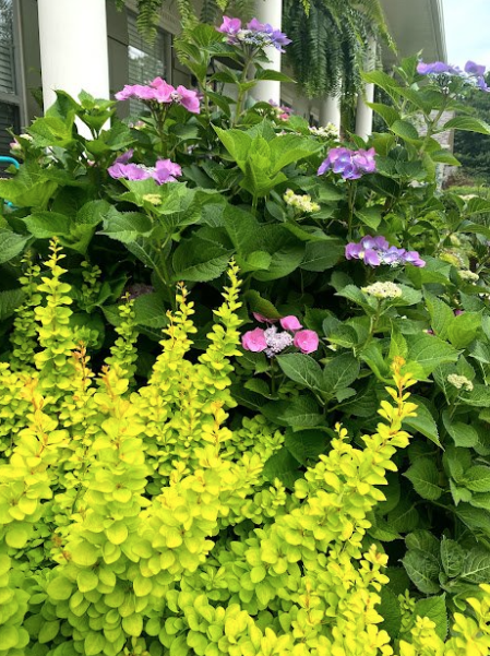 Renew Lighting Creations | Home Lighting | Little Rock Ar