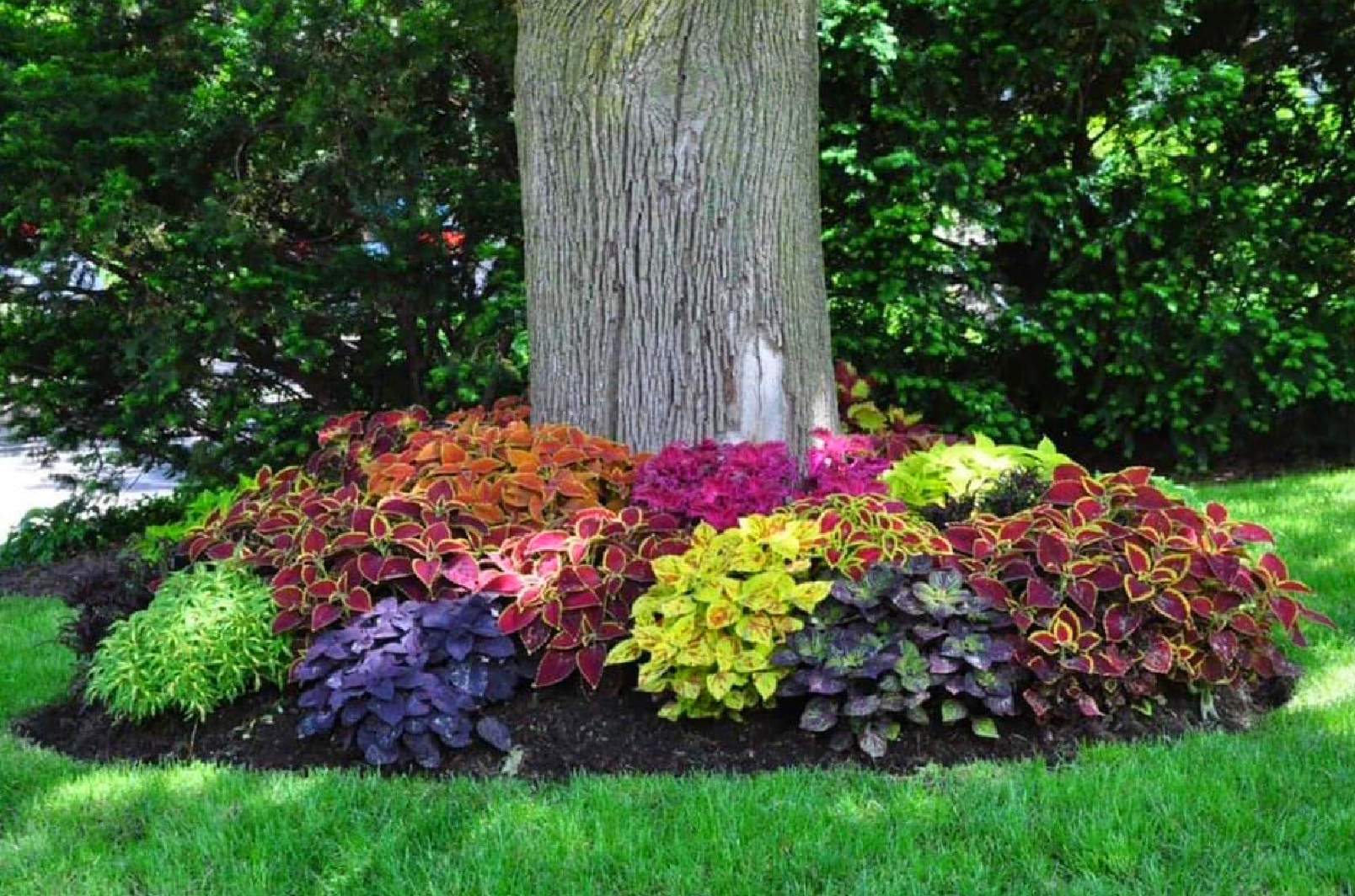 Renew Lighting Creations | Home Lighting | Little Rock Ar