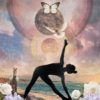 chicago wellness spa partner