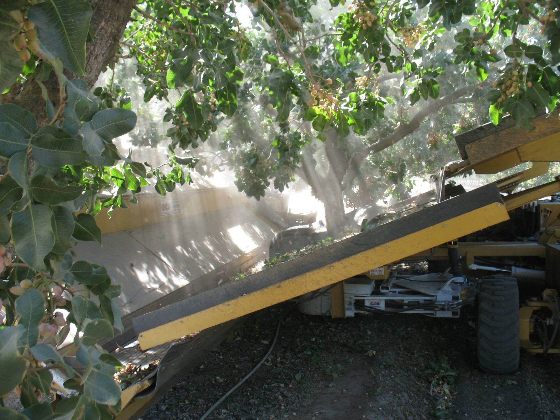 a yellow truck is parked under a tree in a field