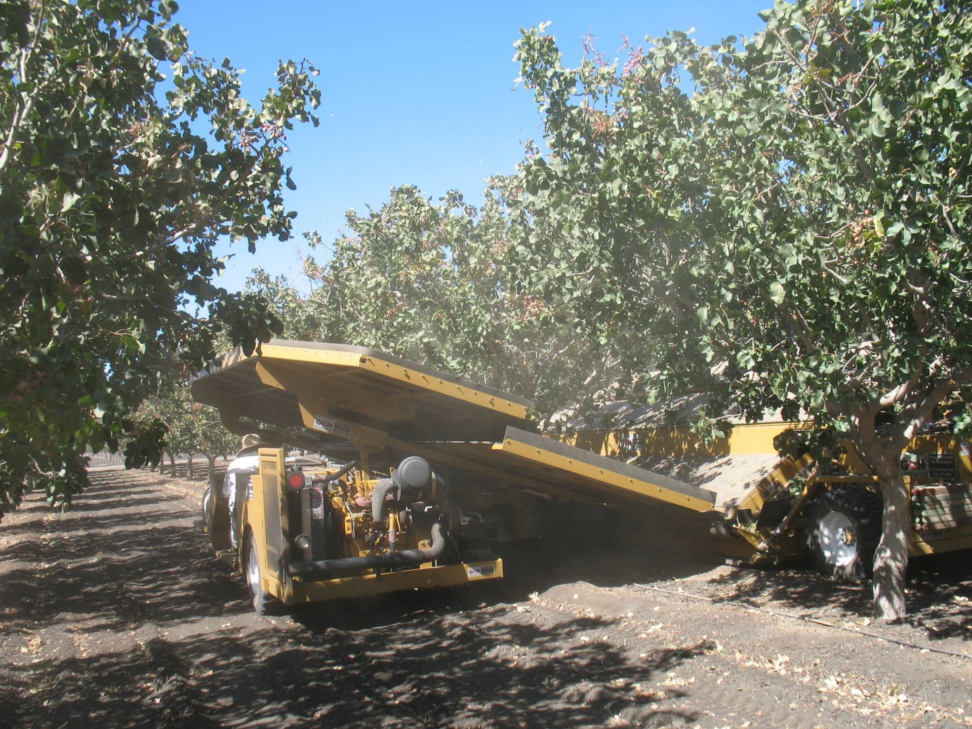a yellow tractor is driving through a field of trees