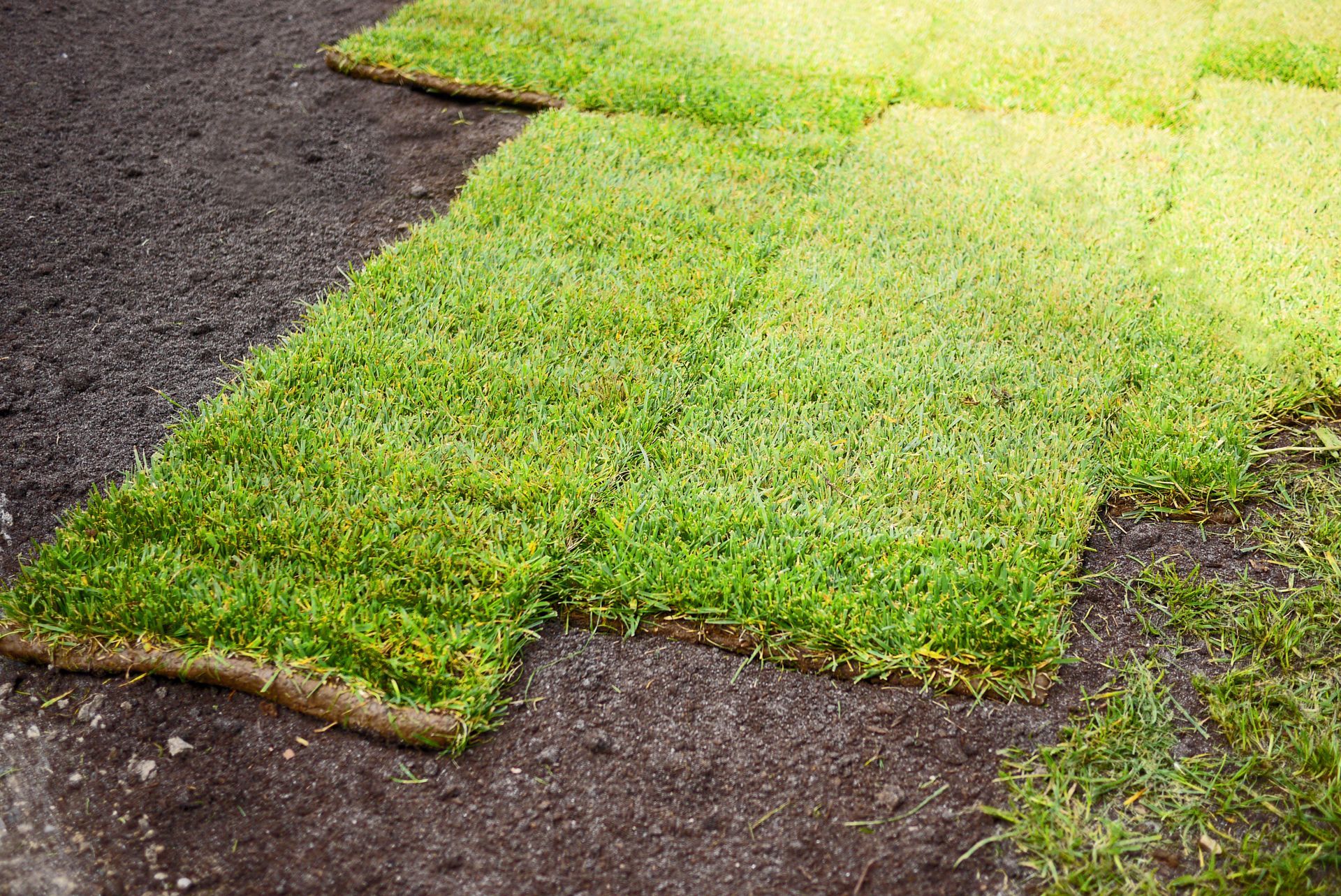 Fresh Turf Squares - Athens, AL - T&R Sod Farms