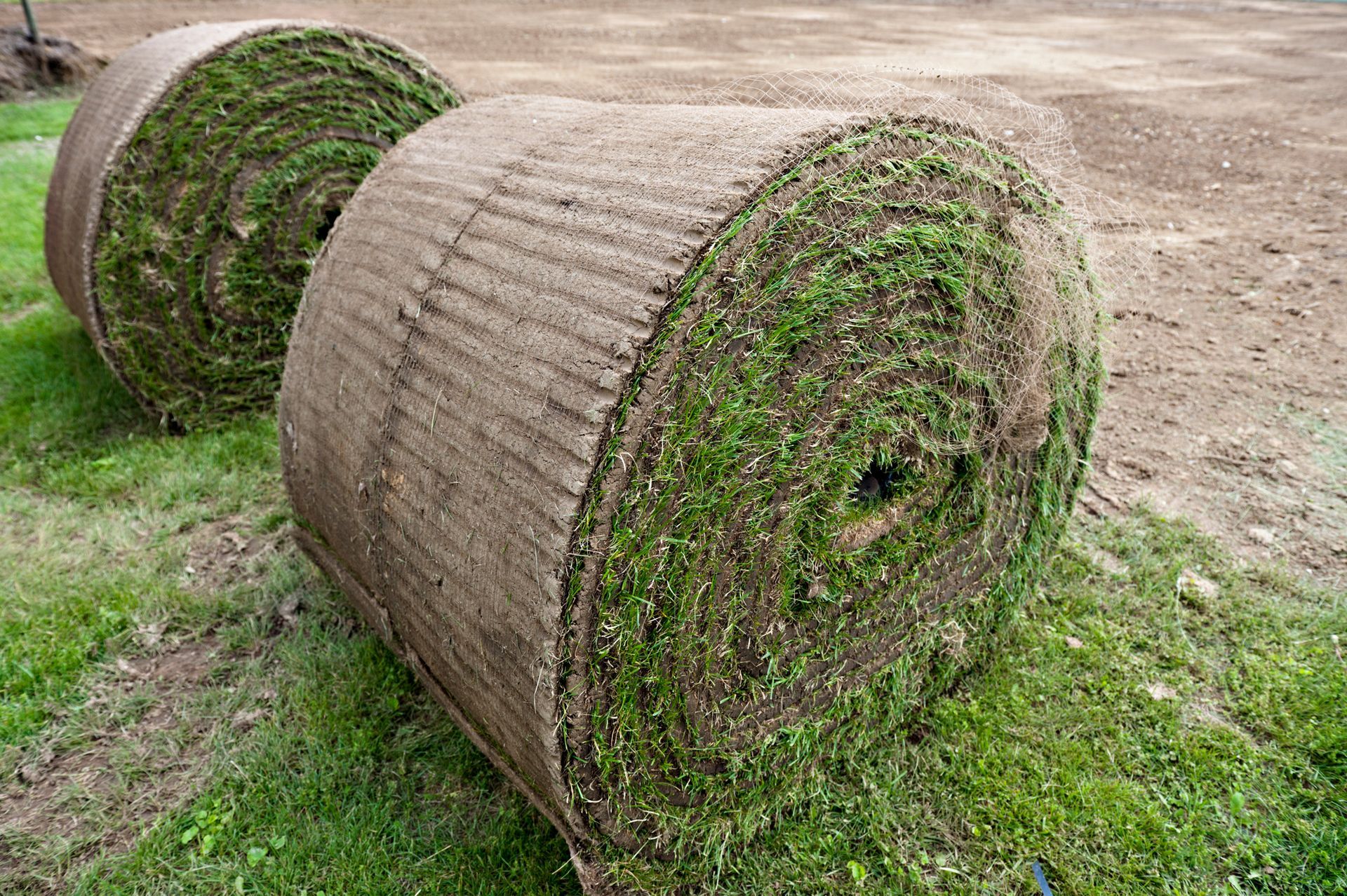 Grass Turfs Rolling Over - Athens, AL - T&R Sod Farms