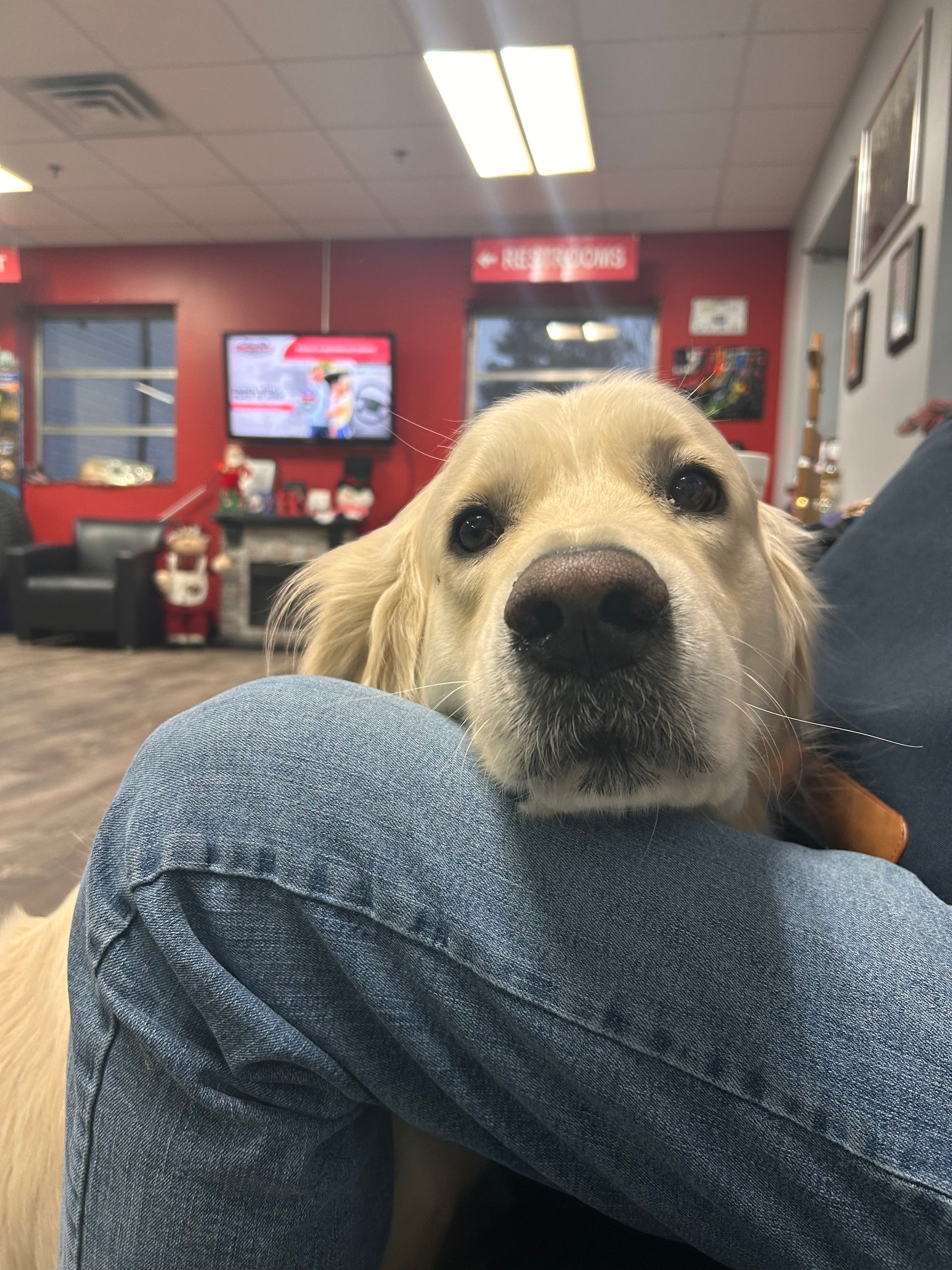 Shop Gallery | Buddy Isles Tire and Automotive