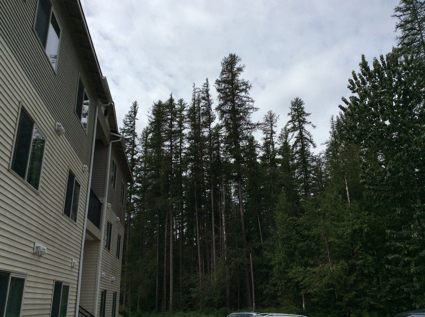 Mountain View Apartments