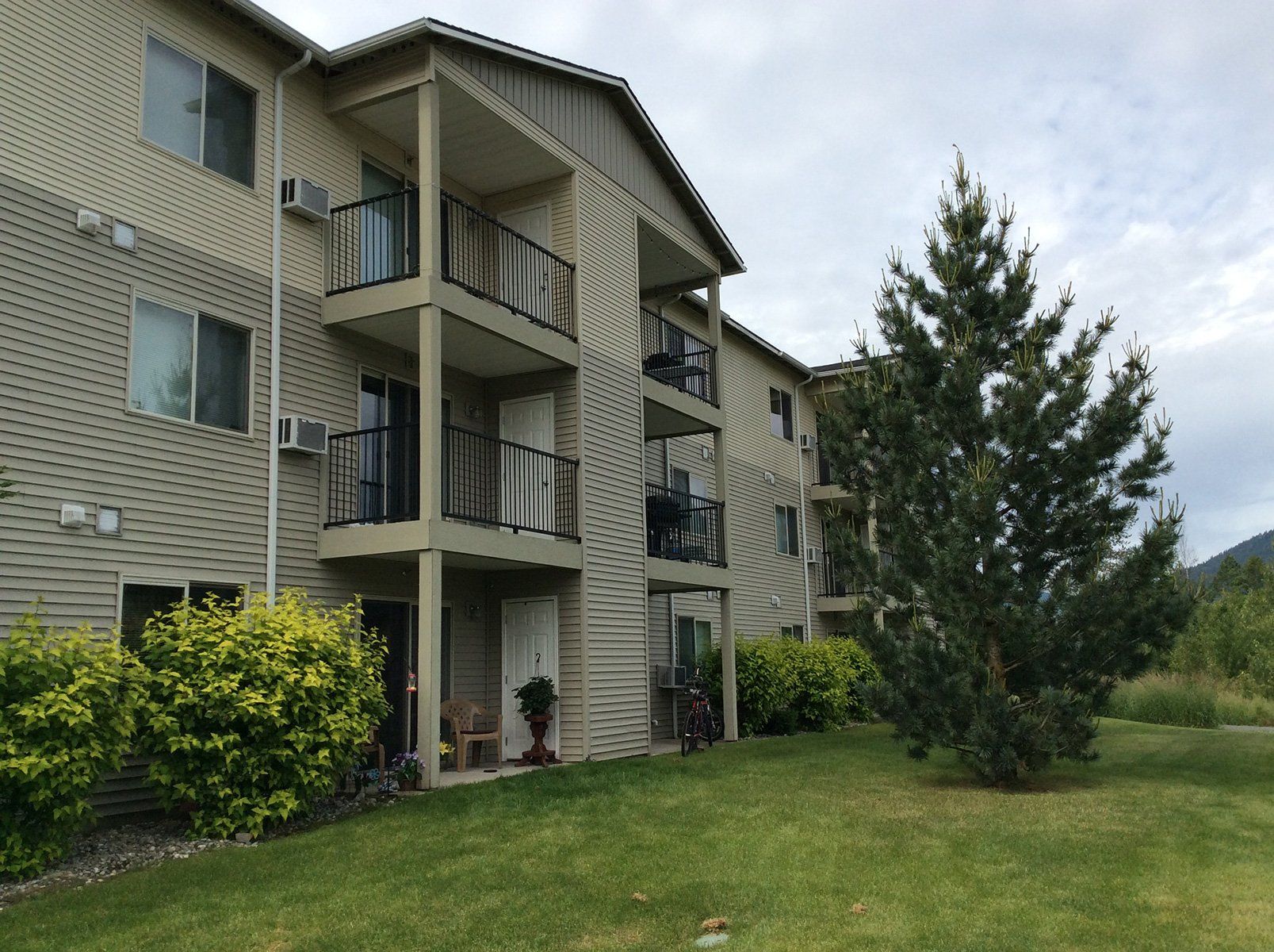 Mountain View Apartments Tree