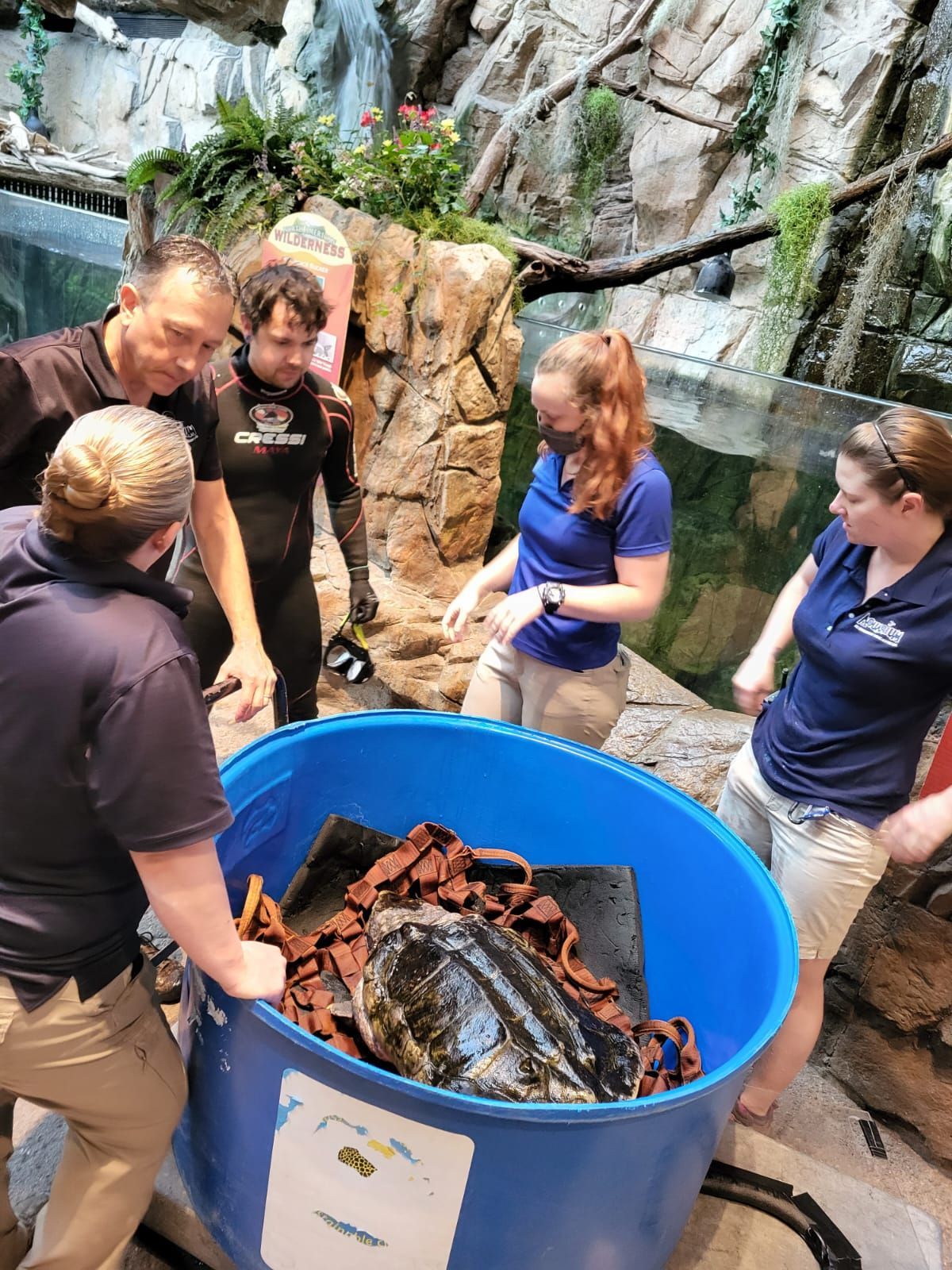 A group of people standing around a large blue tub with a turtle in it