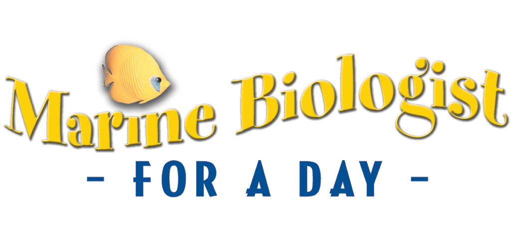 A logo for marine biologist for a day