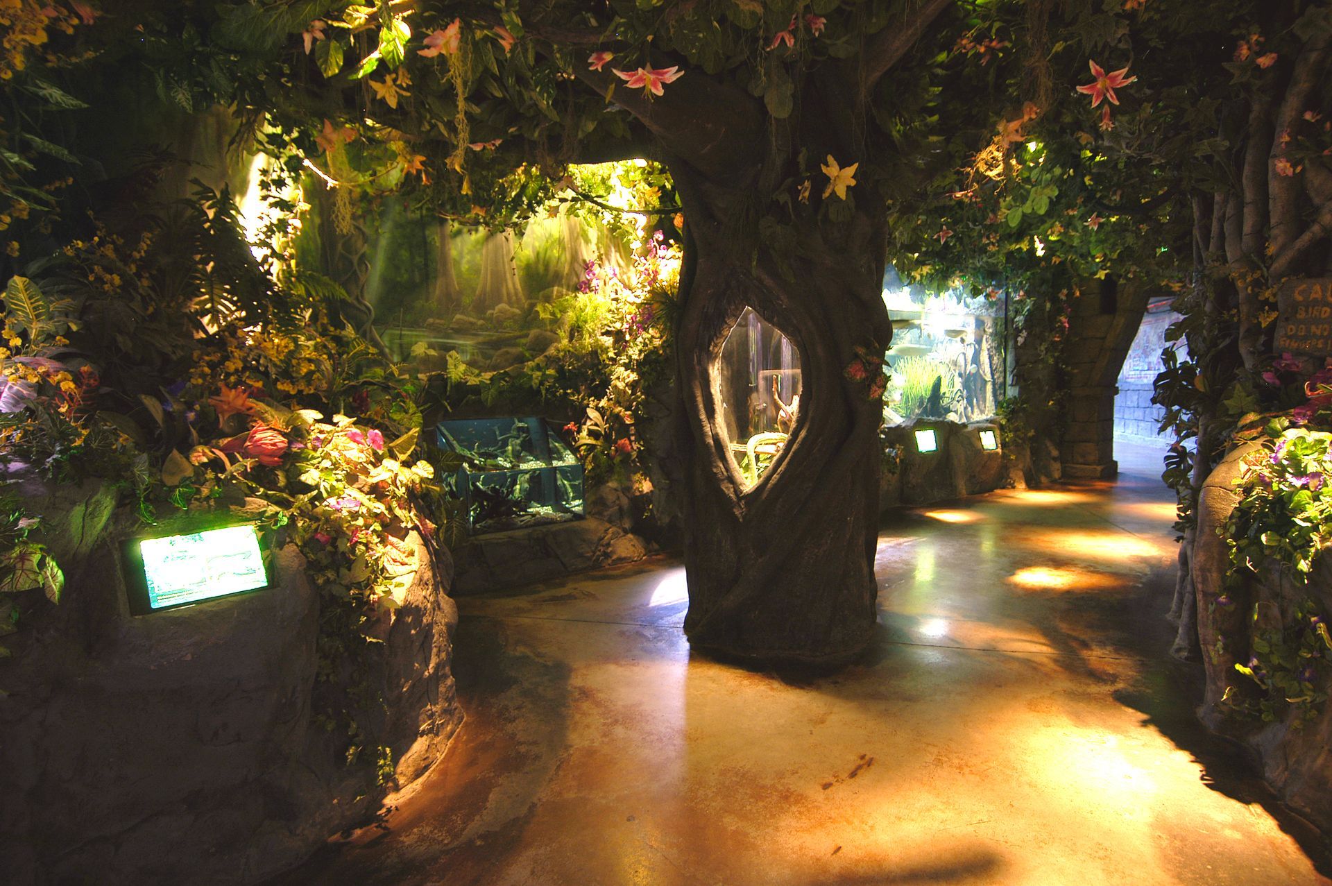 rainforest exhibit with trees