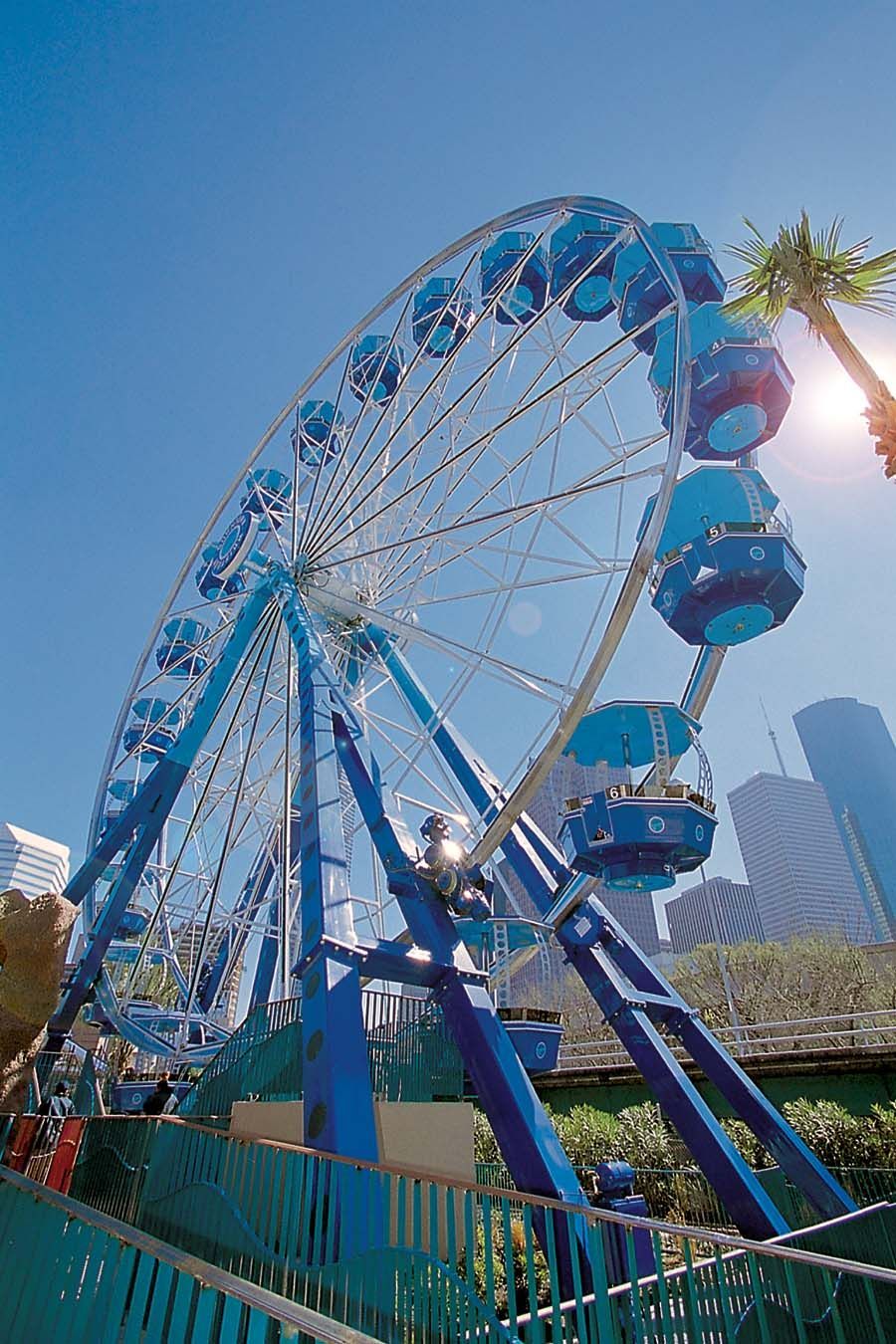 A blue ferris wheel in an amusement park