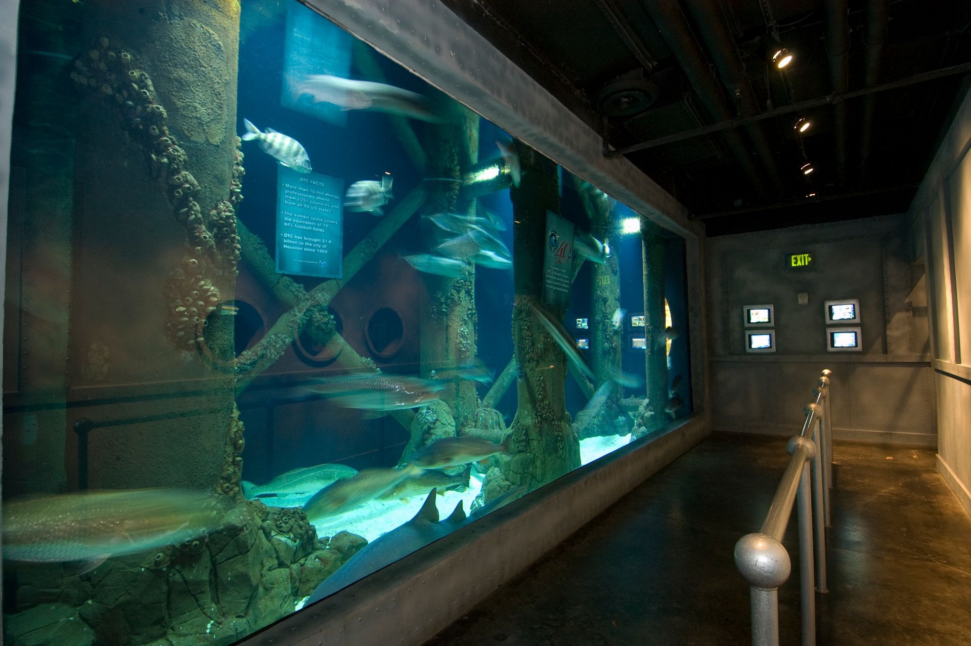 A large aquarium with a few fish in it