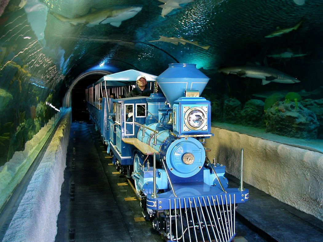 A blue train going through a tunnel with sharks in the background
