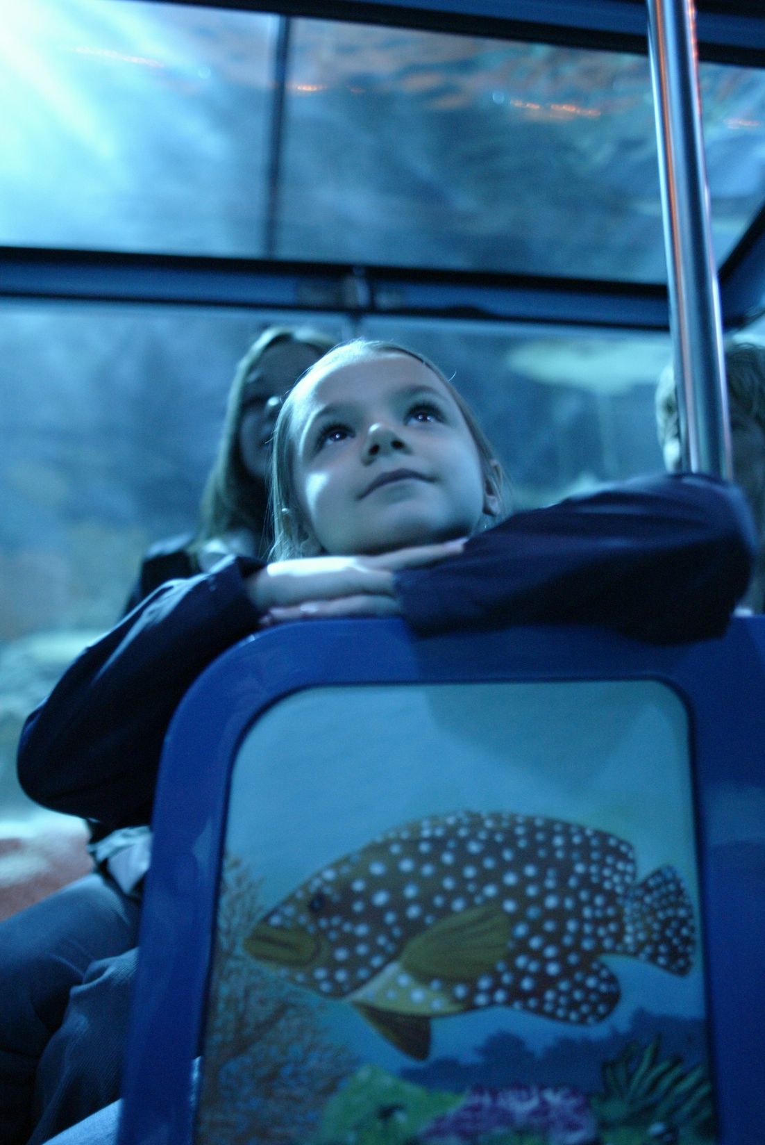 A little girl sits in a blue chair with a picture of a fish on it