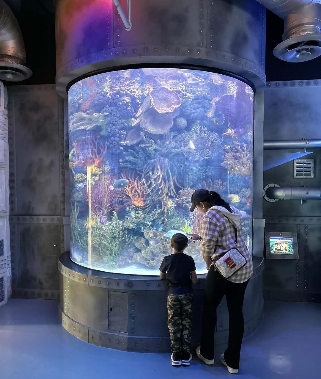 A woman and child are looking at a large aquarium