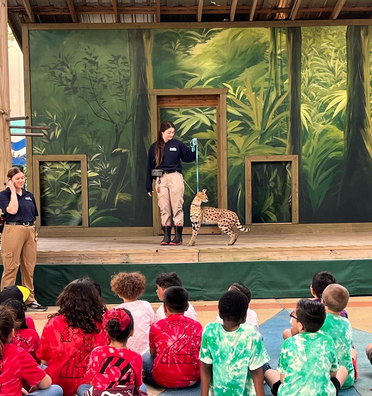 A group of children are sitting in front of a stage with a serval on it