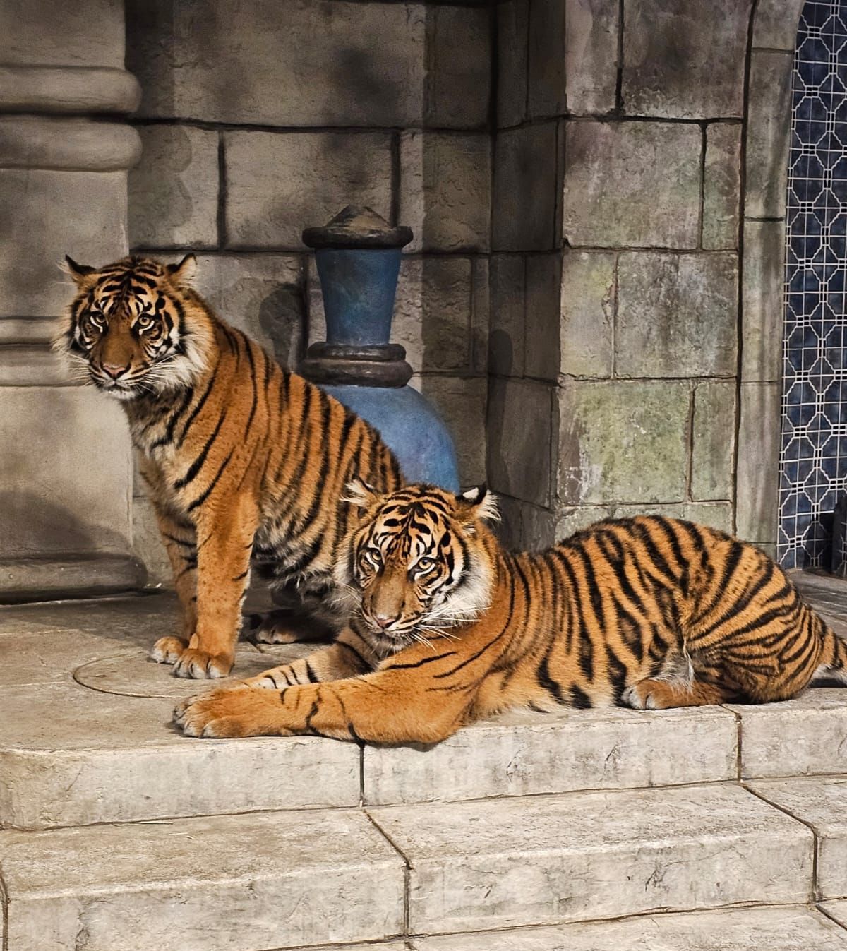 A statue of a man and a white tiger