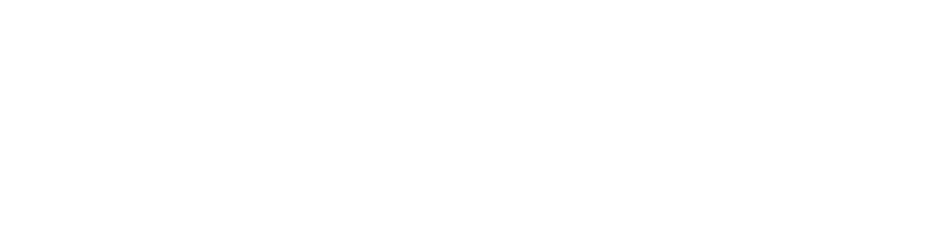 Pier white logo