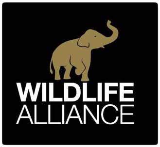 A logo for the wildlife alliance with an elephant on a black background.