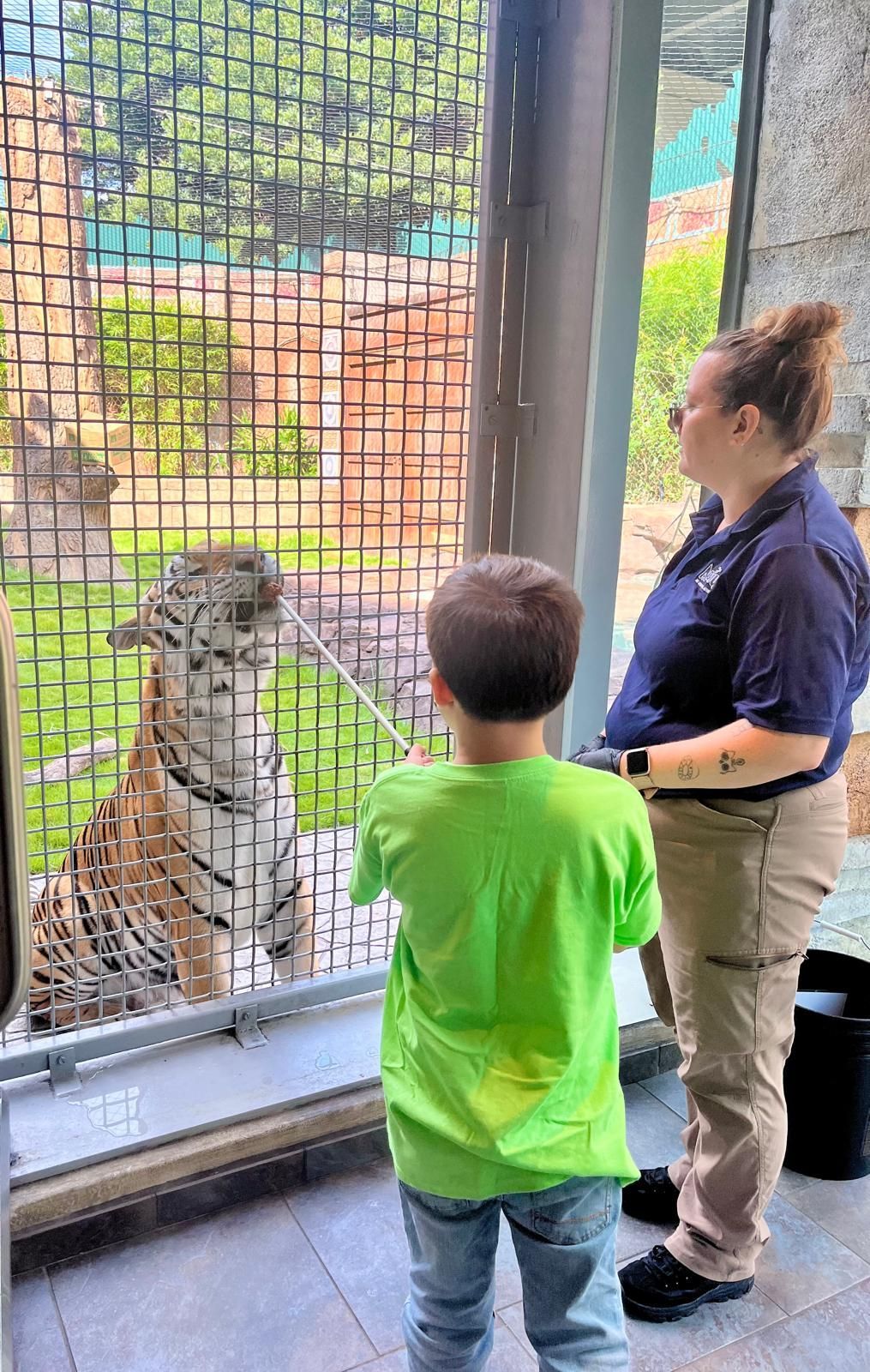 A man standing next to a white tiger in a cage