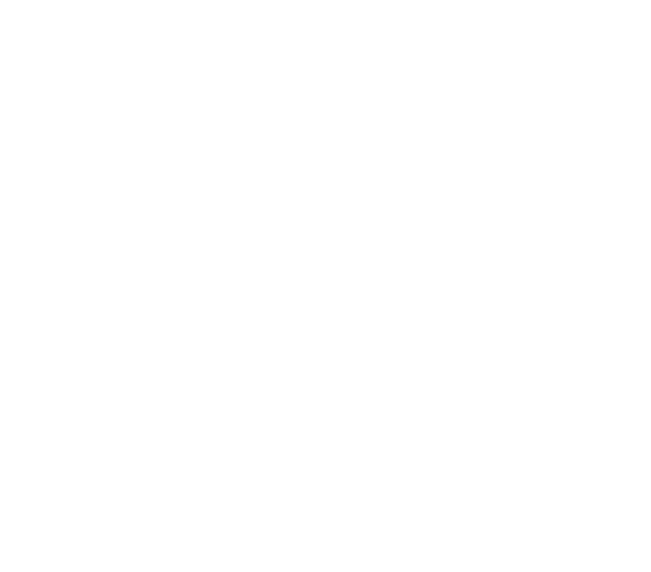 ZAA logo