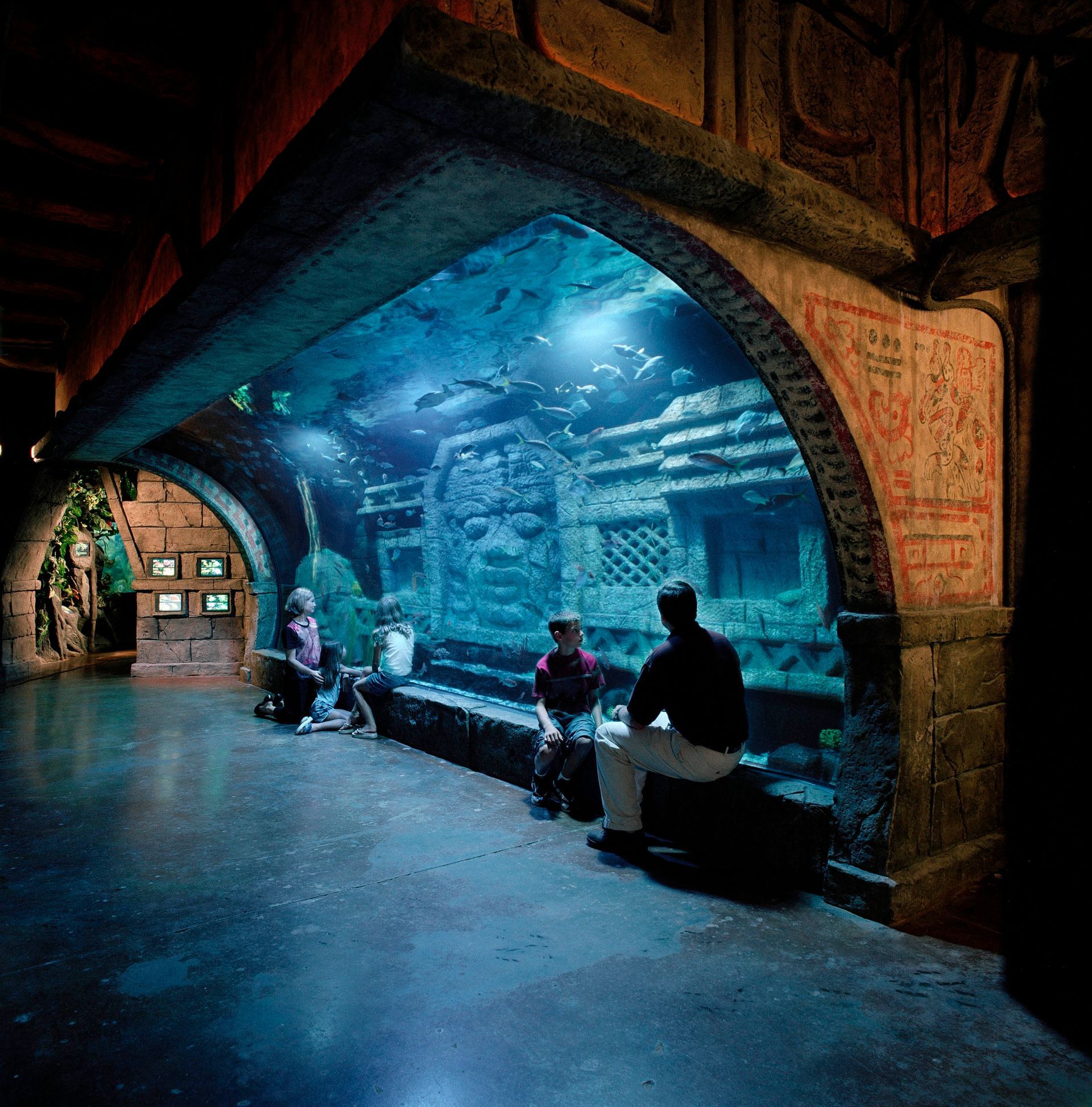 A man sits in front of a large fish tank