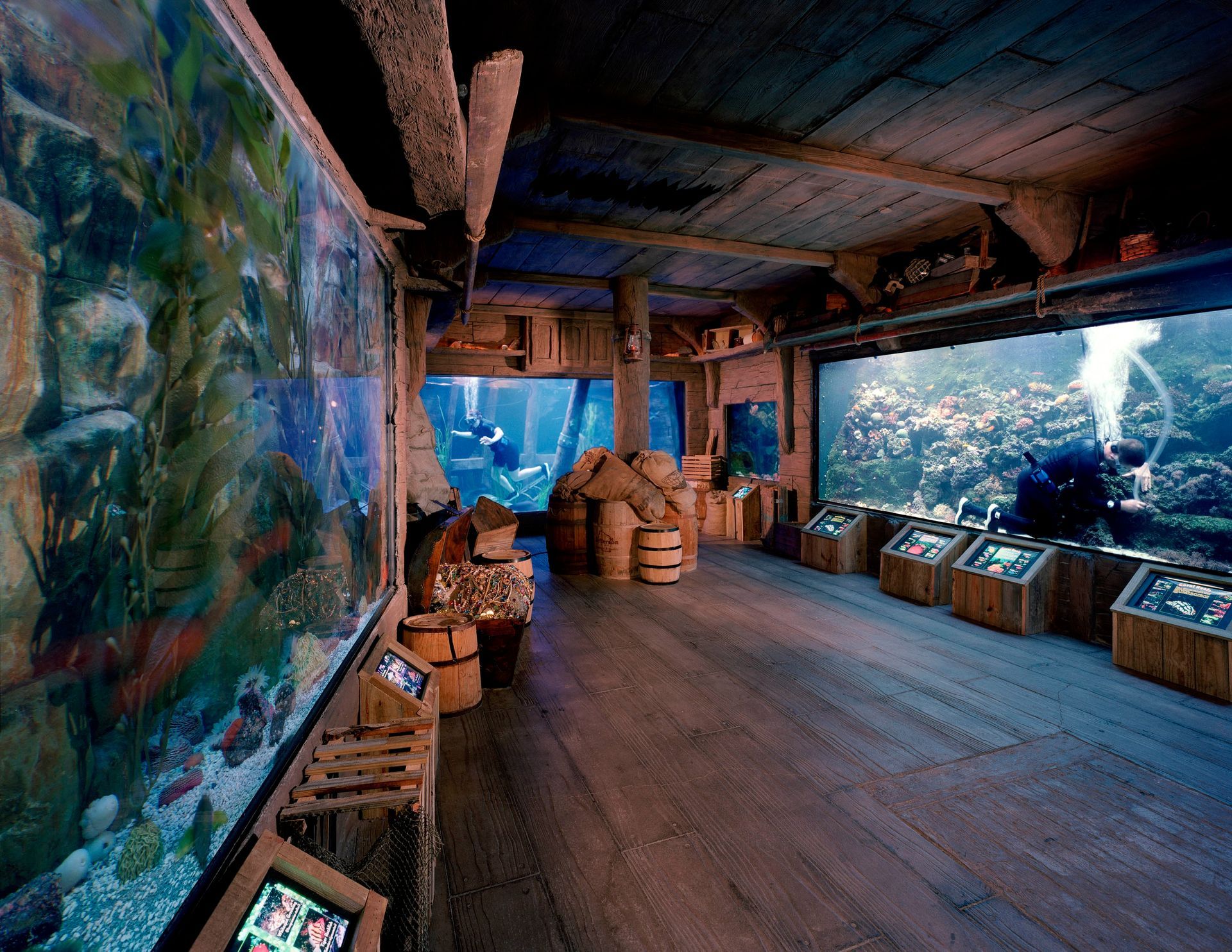 A large aquarium filled with lots of fish and barrels