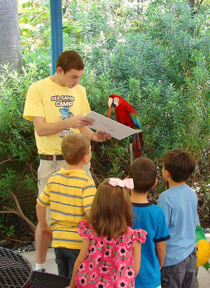 A man in a yellow shirt with a parrot painting a picture