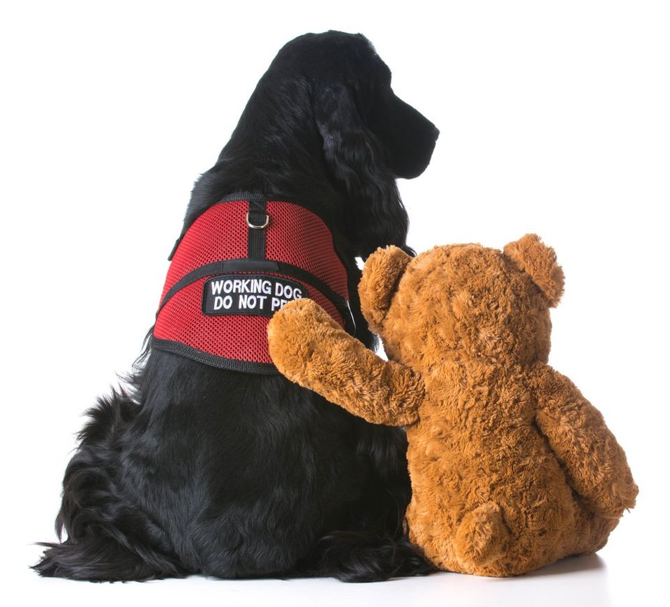 what is the difference between an esa and a service dog