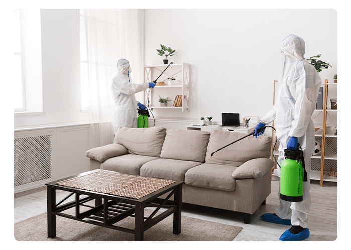 Professional Cleaning with Disinfectant Spray of All Home — Northern Brisbane, QLD — JHS
