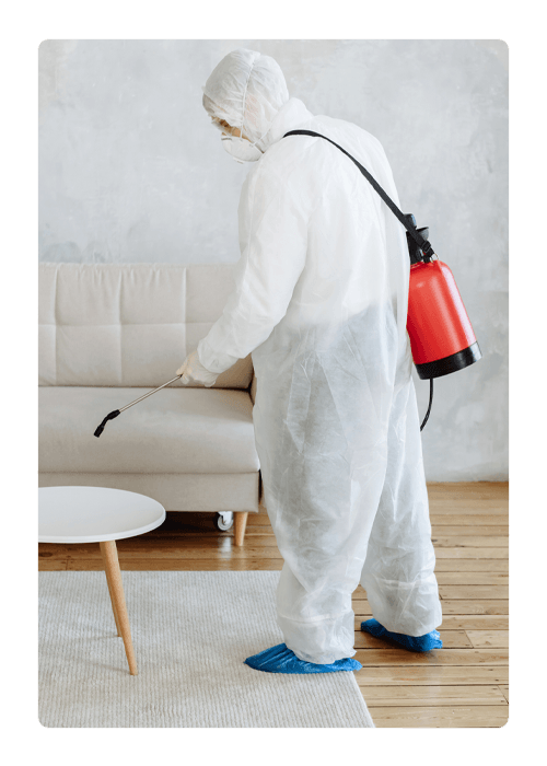Disinfect Household Items and Furniture — Northern Brisbane, QLD — JHS