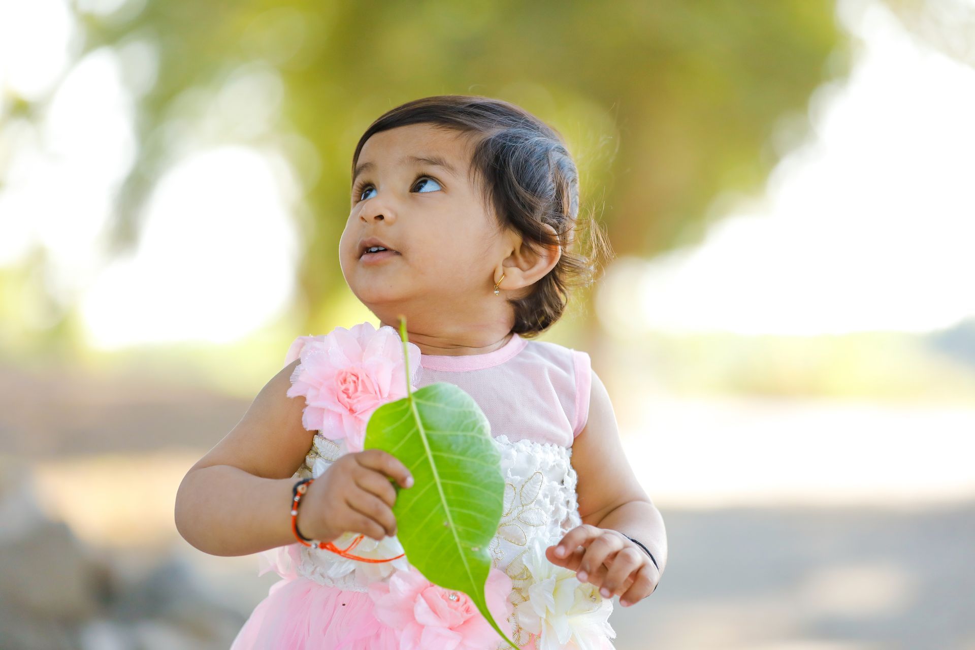 Toddler holding a leaf