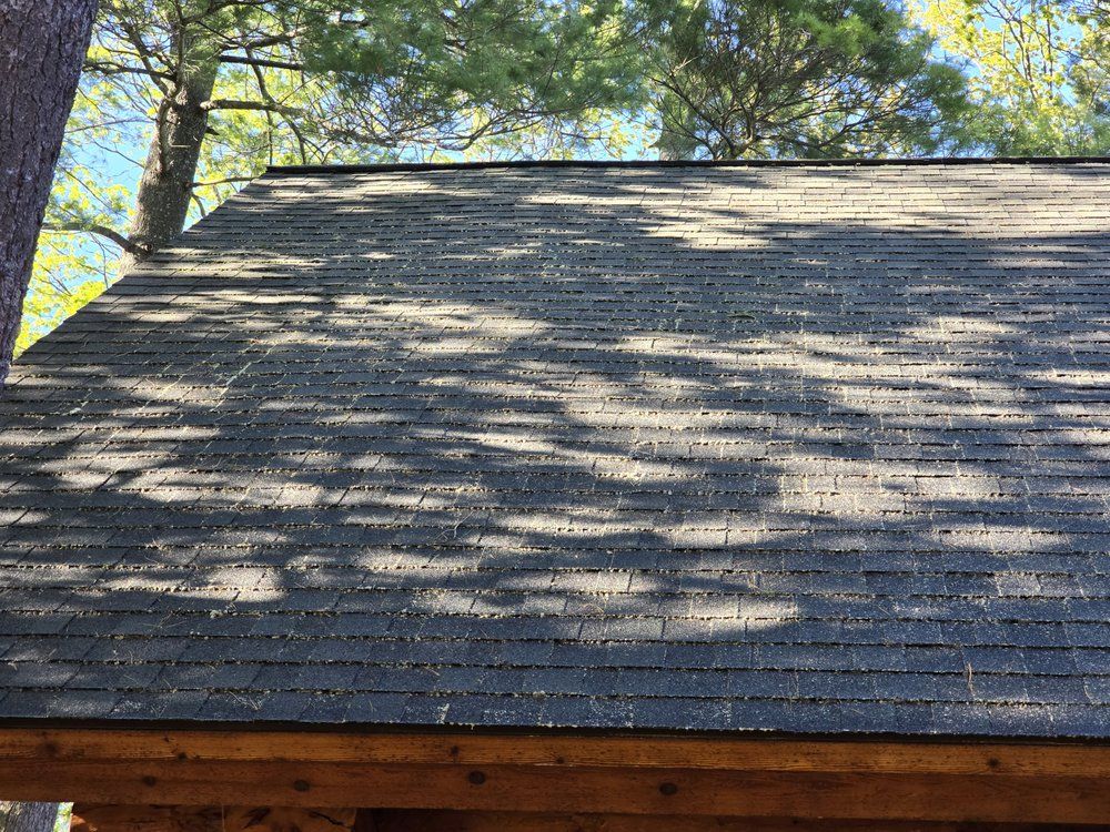 Close-up view of an asphalt shingle roof with some granules missing. The sun casts shadows from trees.
