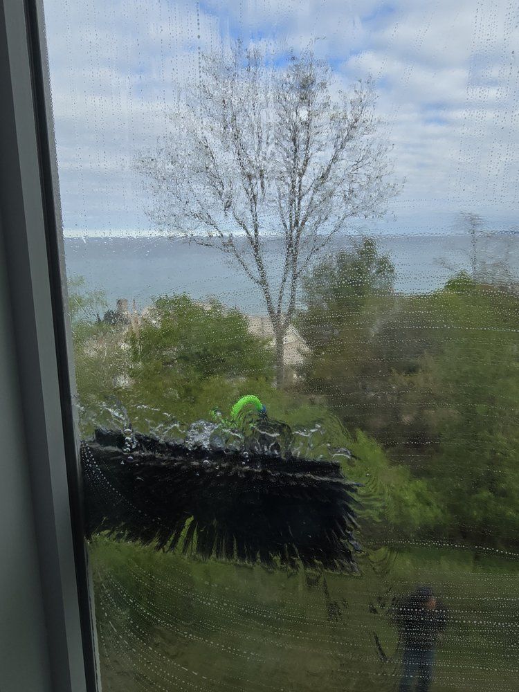 Window cleaning brush scrubbing a window overlooking a green landscape, trees, and a body of water under a cloudy sky.