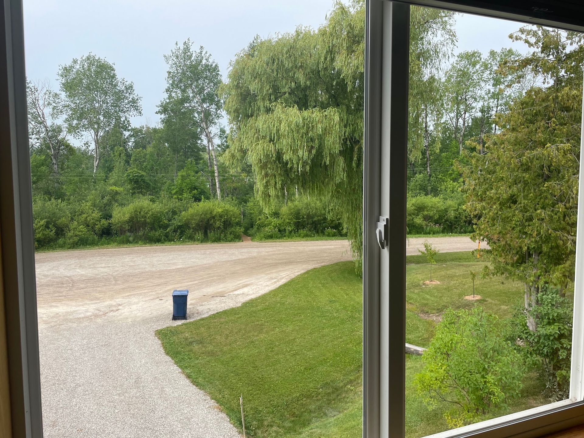 View from a window of a gravel driveway and grassy area with green trees under an overcast sky.