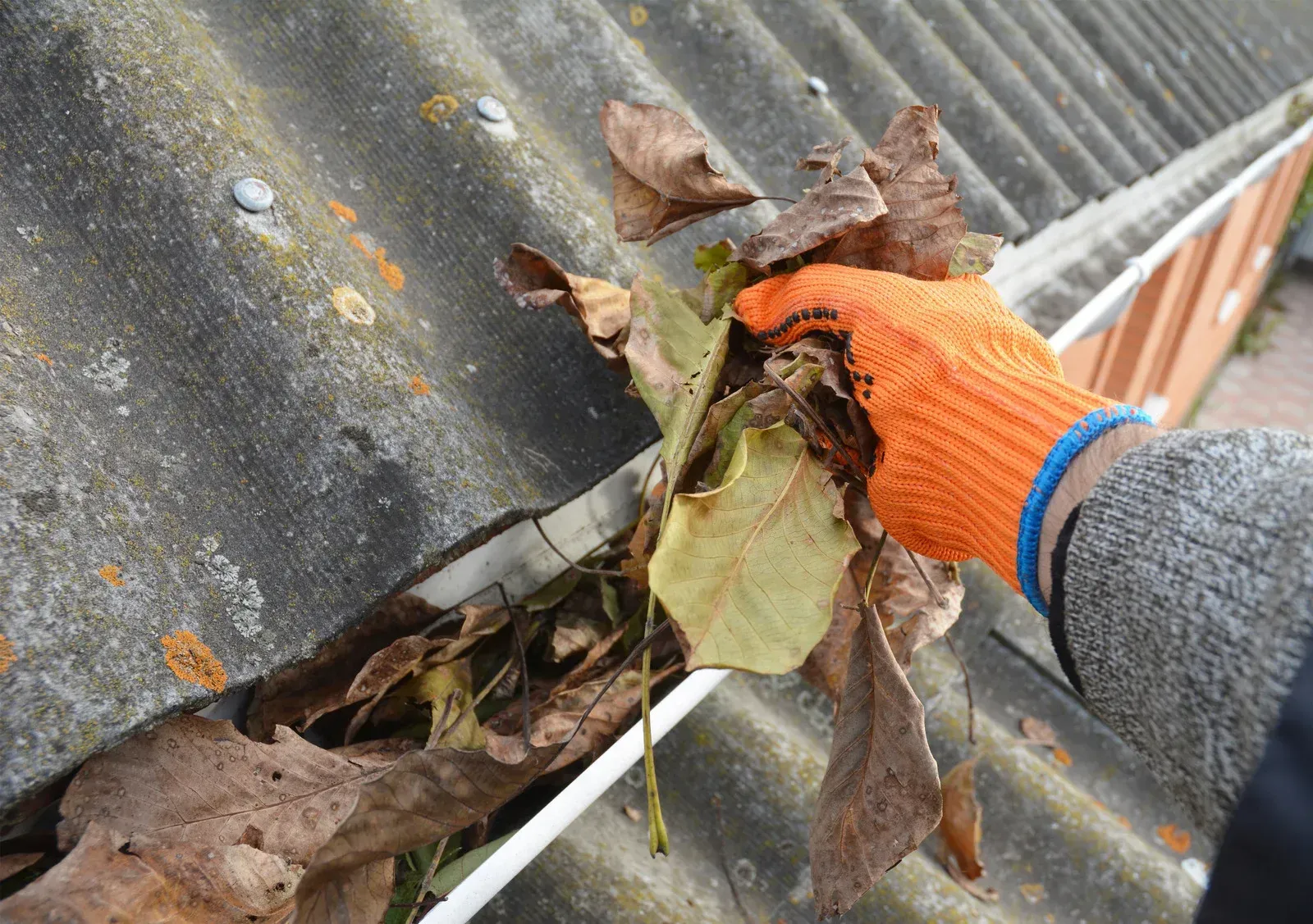 Person wearing an orange glove cleans a gutter full of dry leaves on a gray roof.