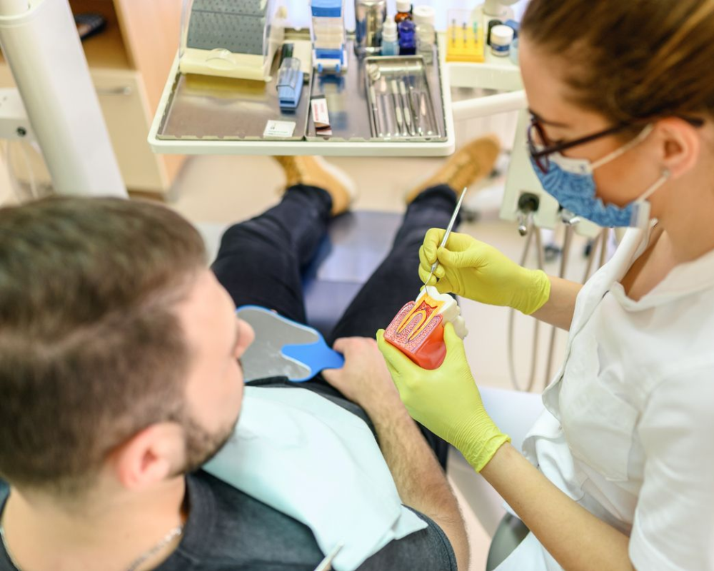 Dentist examining a tooth model with a patient in a dental chair.
