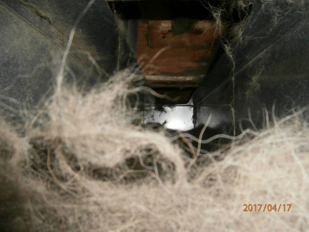 A close up of a vacuum cleaner with a lot of dust on it.