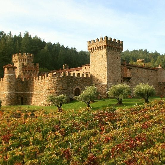 Stone castle with turrets and vineyards in autumn.