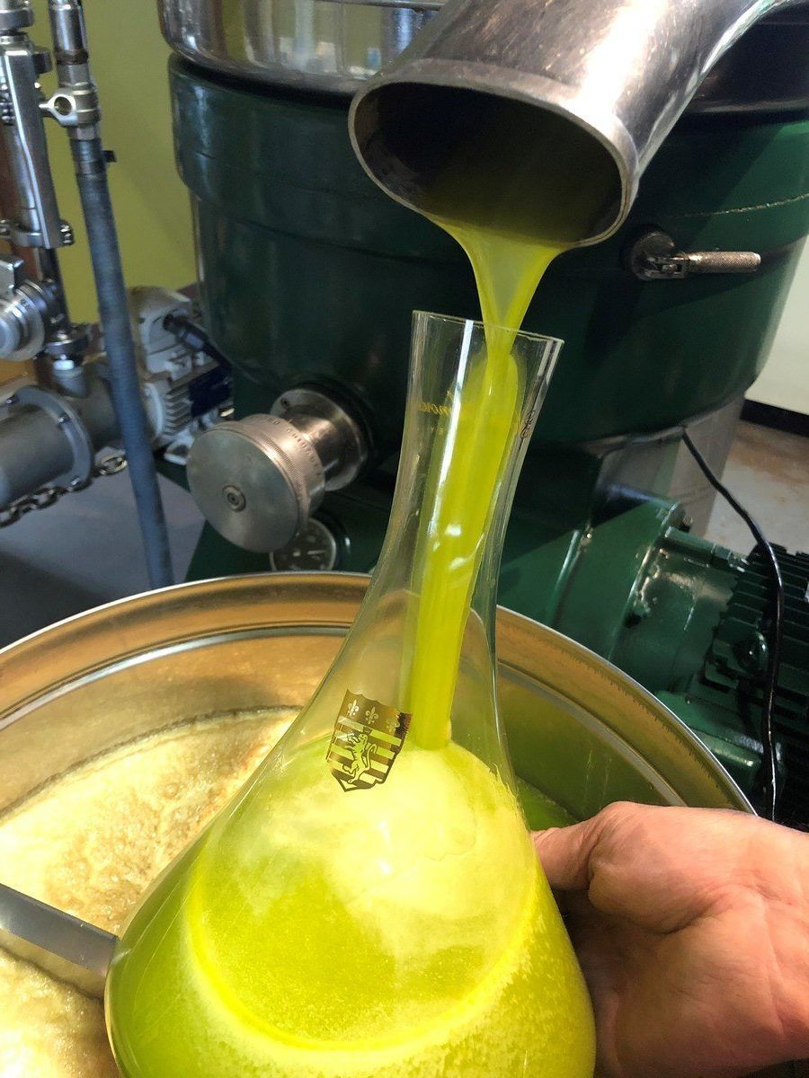 Olive oil pouring into a glass container from a machine.
