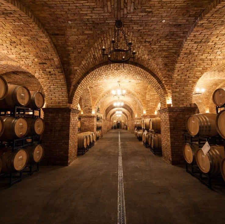 Wine cellar with brick arches, rows of barrels, and overhead lighting.