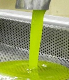 Fresh green olive oil pouring into a metal basin.