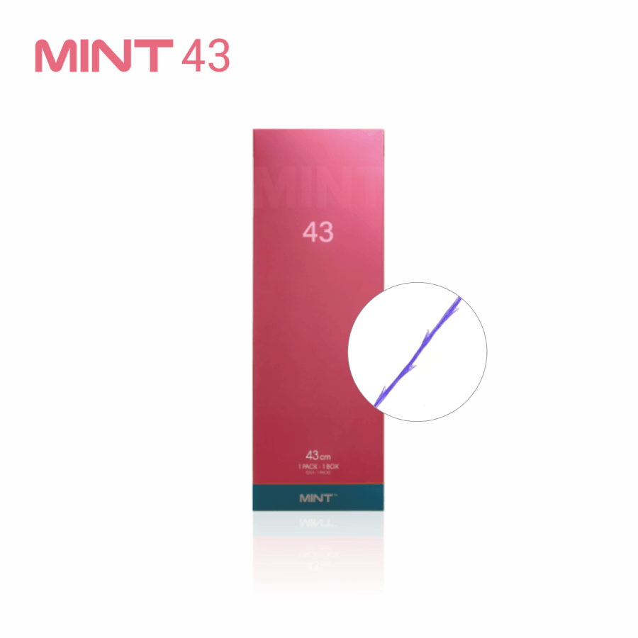 Mint 43Cm