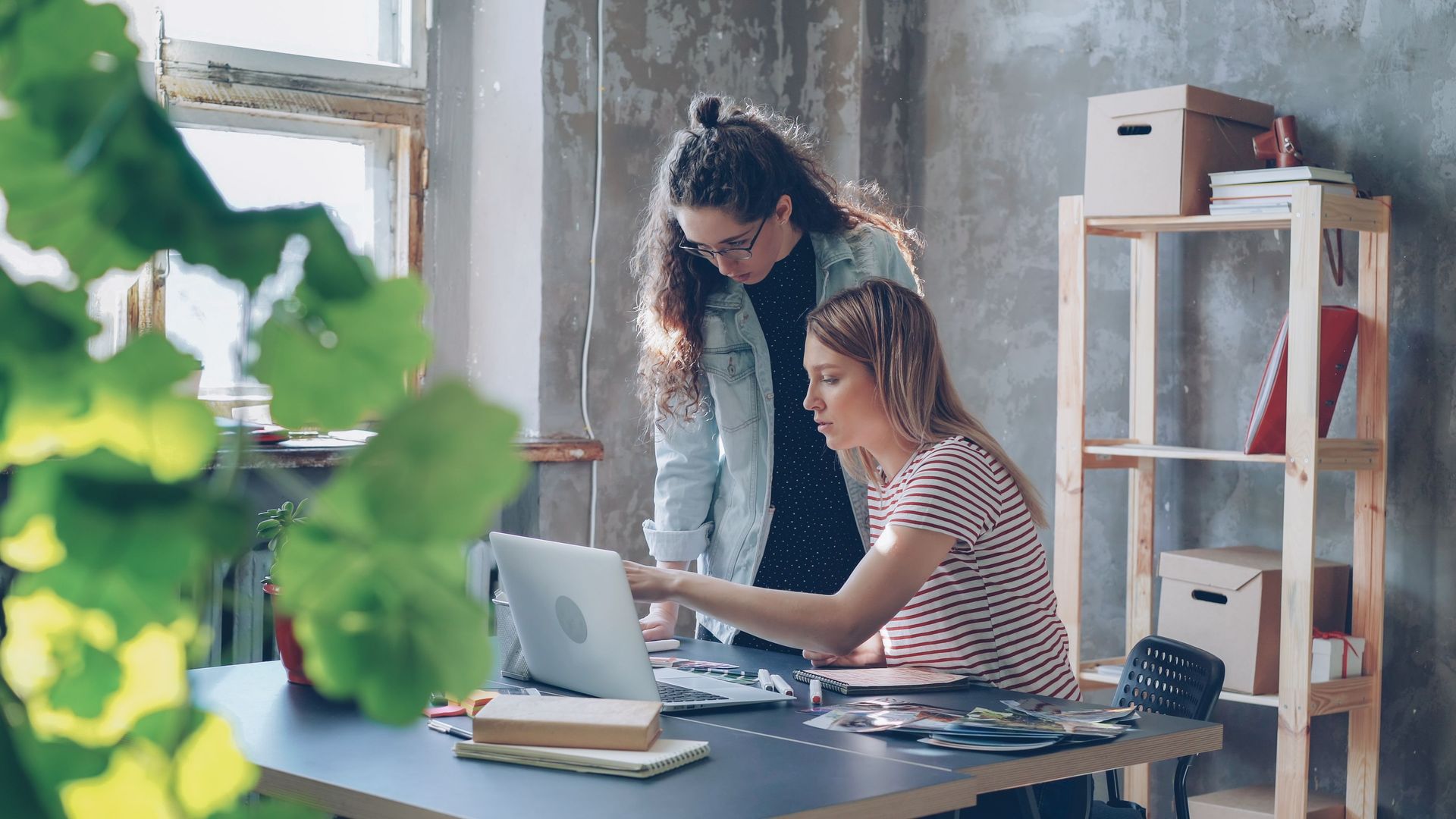 Two people working at a laptop in a bright office with shelves and plants