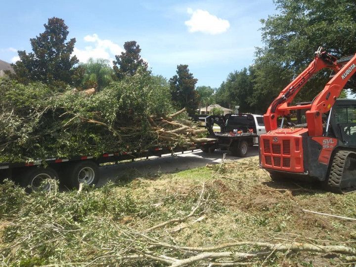 A skid steer loader loads branches onto a trailer on a residential street.
