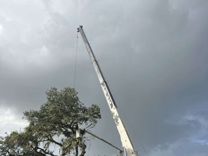 Crane reaching toward a tree under a stormy, overcast sky.