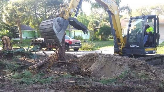 Excavator removing tree stump in a yard, red truck in background.