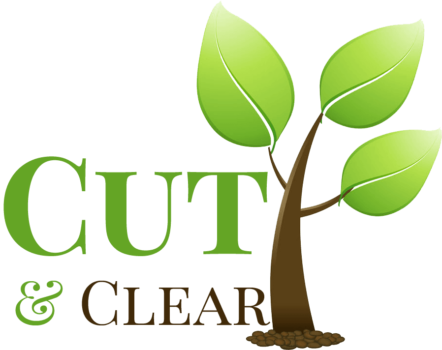 CUT & CLEAR logo