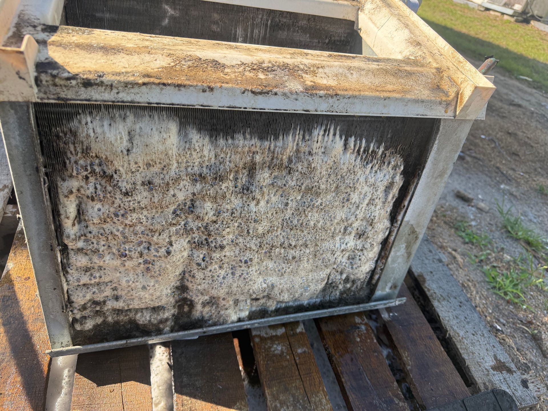 Mold-covered wooden crate on pallets outdoors, with a stained, dirty front panel.