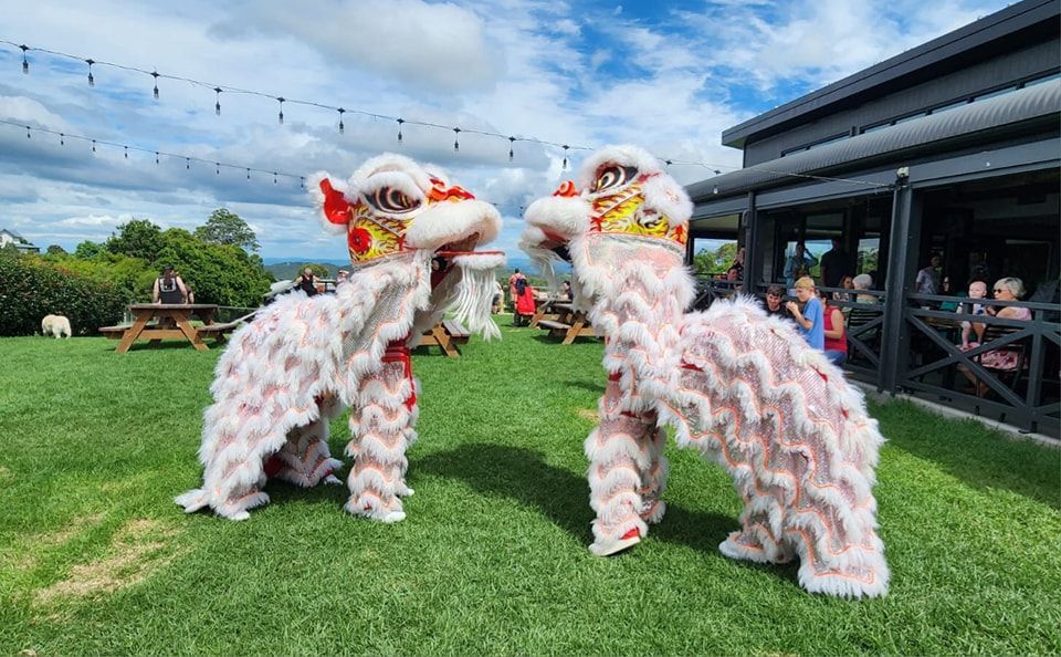Two Lion Dancers Are Standing Next to Each Other in a Grassy Field — Monty Brewing Co. In Highfields, QLD