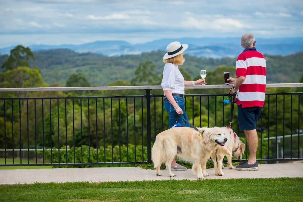 A Man and a Woman Are Walking Two Dogs on a Leash — Monty Brewing Co. In Highfields, QLD